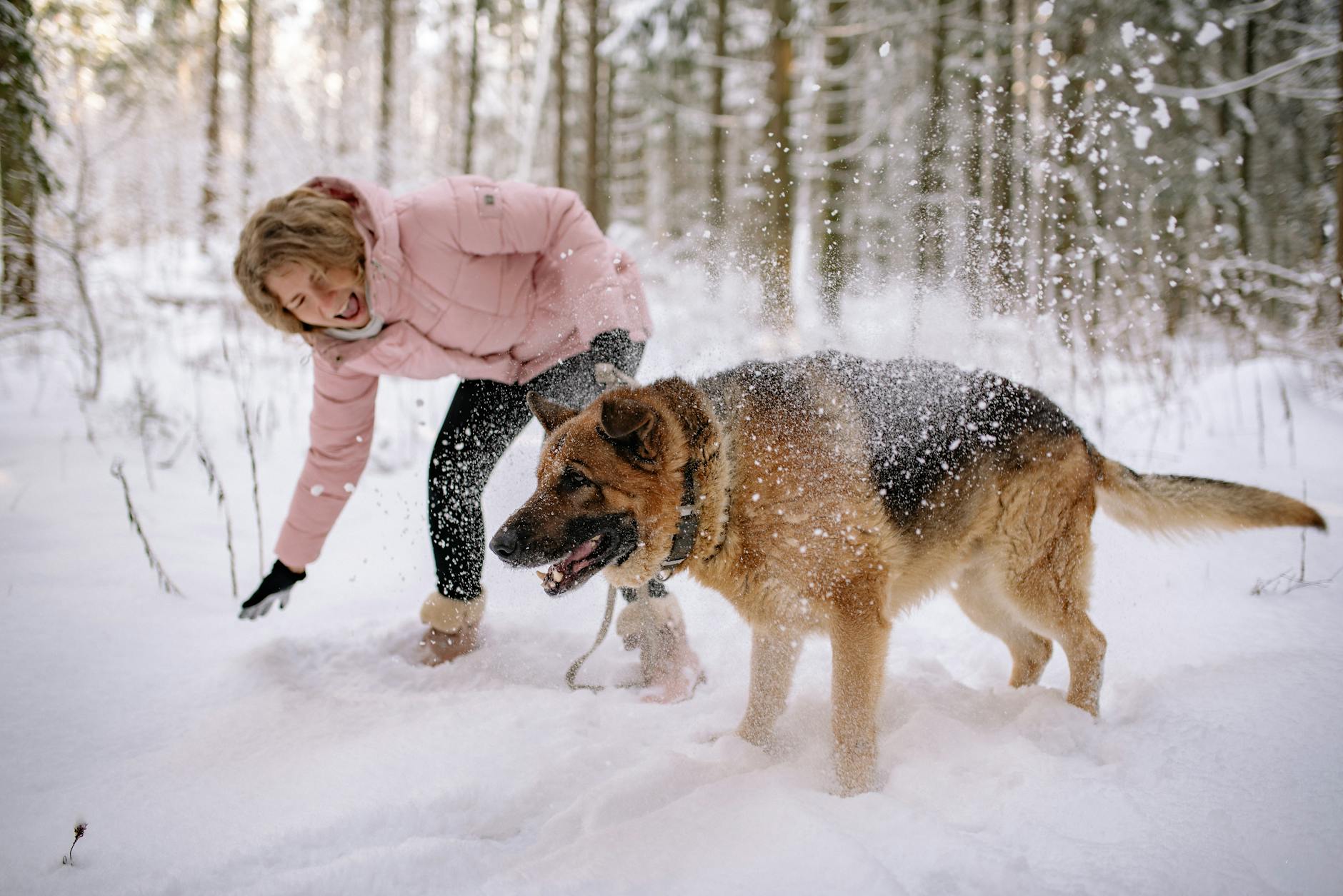 Winterize your Dog!