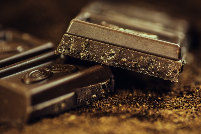 Chocolate and Dogs: A Potentially Dangerous Combination