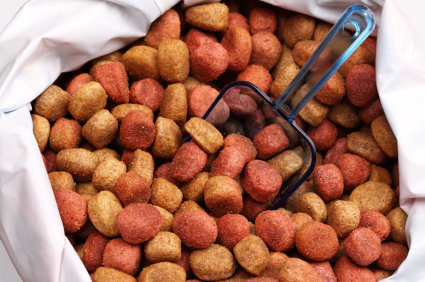 Think someone is looking out for your dog’s food? Think again.
