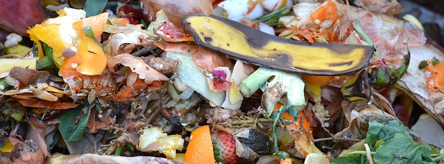 Psst … Your Compost May NOT be Dog-Friendly!