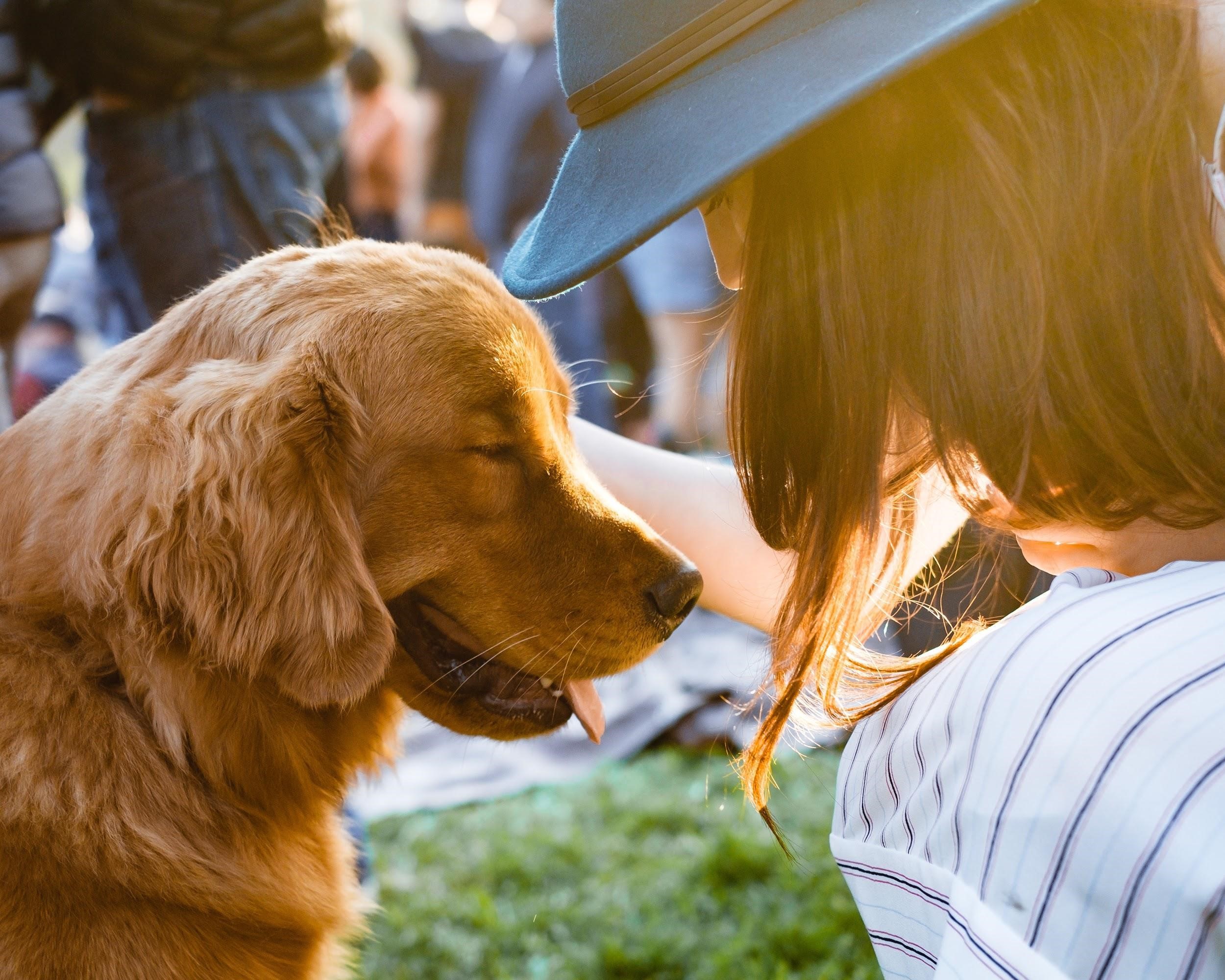 Guest Blog: 5 Reasons You Need Your Pet More