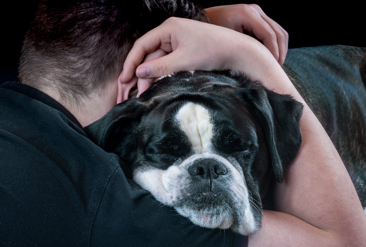 Guest Blog: Dogs Help Heal People