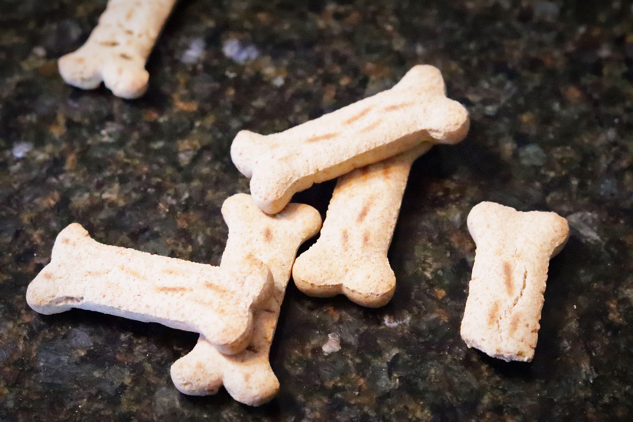 Launching a New Pet Treat Bakery: Simple and Profitable: Guest Blog Post
